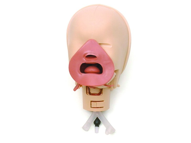 Head &amp; Airways Without Face Skin