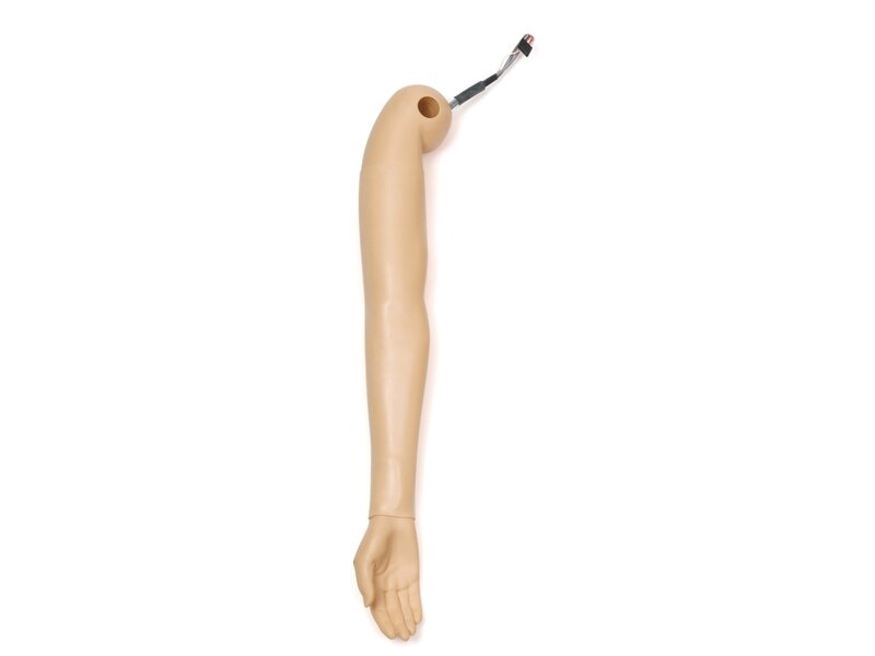 Blood Pressure Arm, Right, Adult Female 