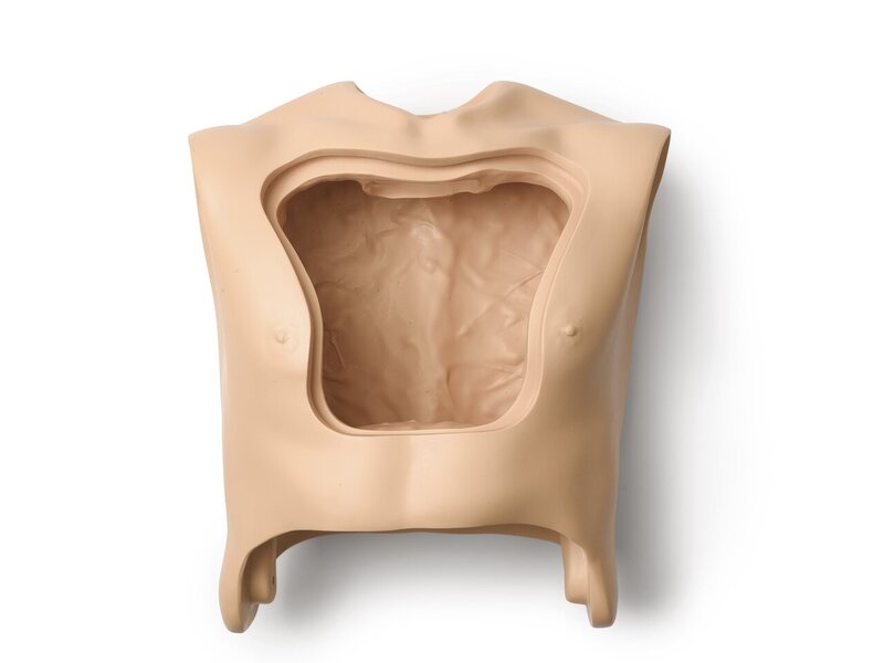 TORSO; ADULT MALE HOSP FULL CUT