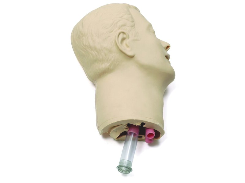 Replacement Headskin and Airways with Teeth, Airway Management Trainer