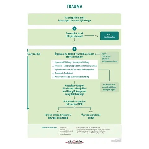 Trauma Wall Poster