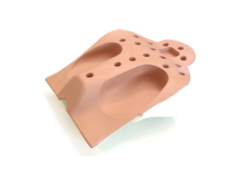 Abdominal Examination Foam Organ Pegboard BU