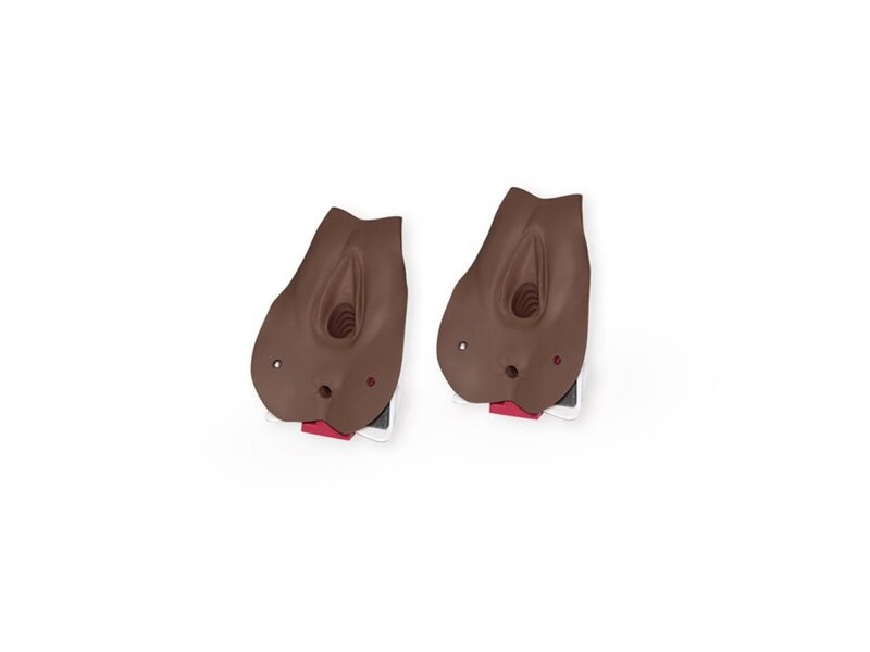 Unincised Perineal Dark Repair Block x2